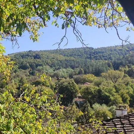 Hadjigabarevata Kashta